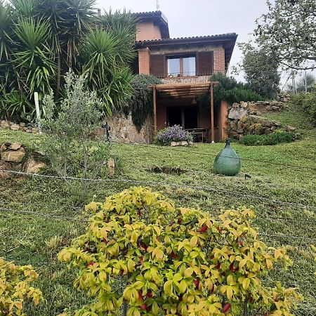 Apartamento Maremma Che Vista! Campagnatico Exterior foto