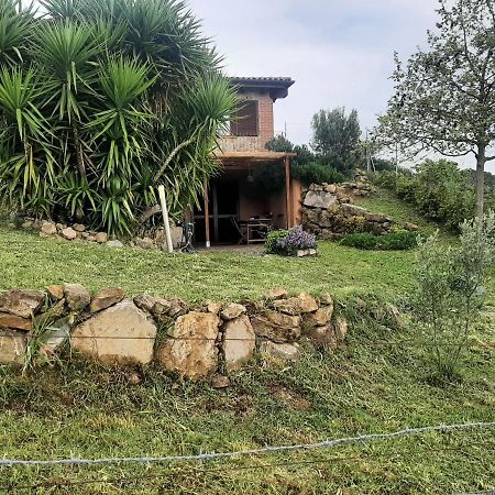 Apartamento Maremma Che Vista! Campagnatico Exterior foto