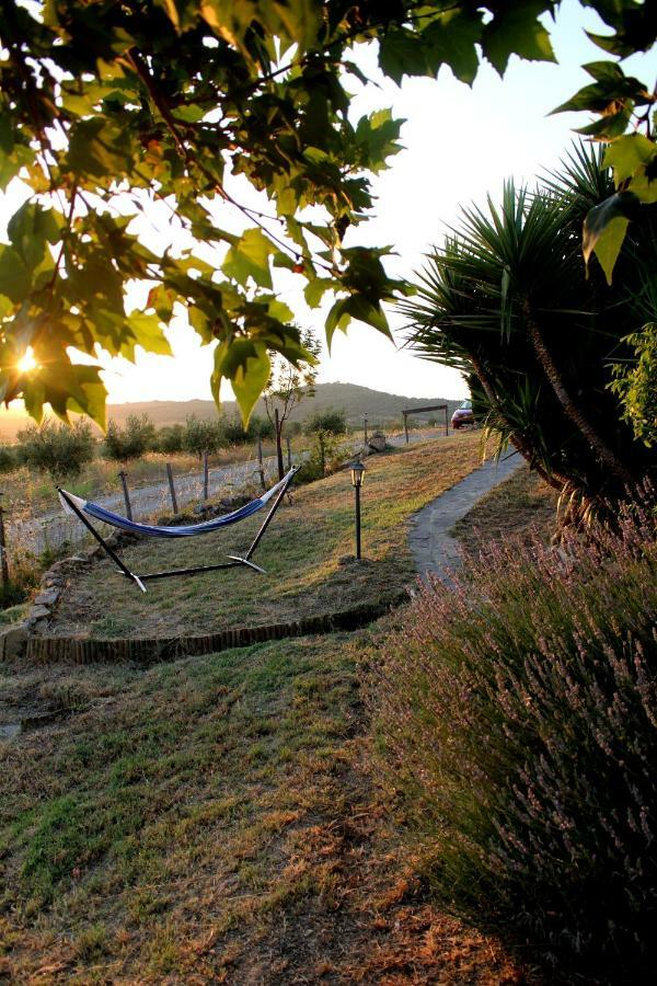 Apartamento Maremma Che Vista! Campagnatico Exterior foto